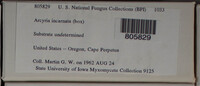 Image Associated With the Occurence